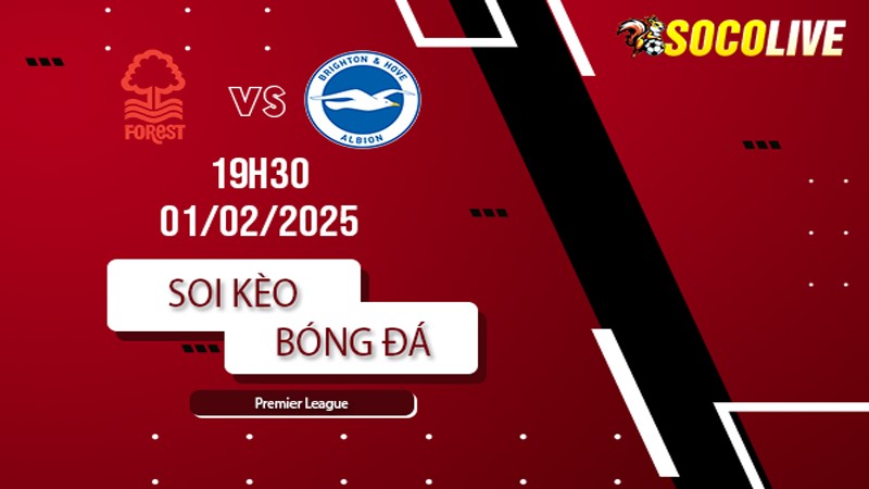 Soi kèo Nottingham vs Brighton