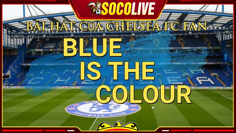 Nguồn gốc bài hát Blue is the Colour