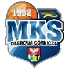 Logo Dabrowa Gornicza