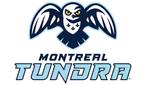 Logo Montreal Toundra