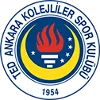 Logo TED Ankara Kolejliler