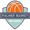 Logo Palmer Basket