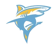 Logo Long Island University